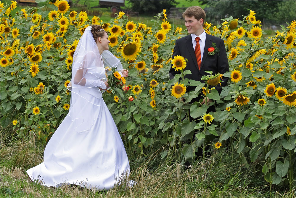 Hochzeit