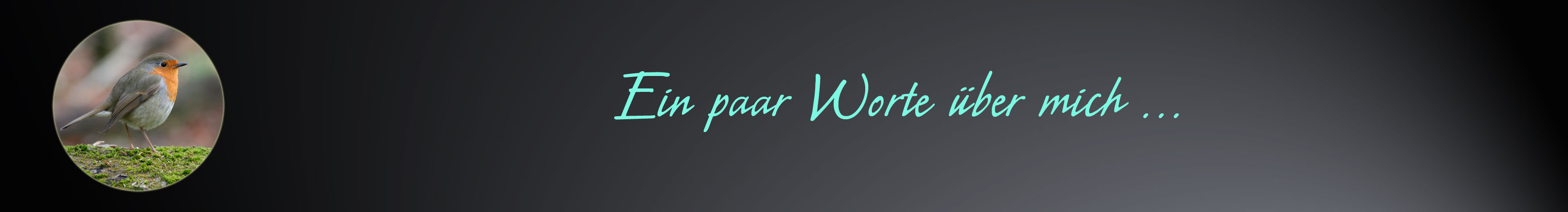 Der Autor